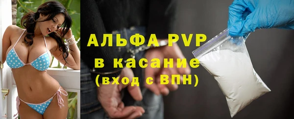 прущие грибы Крымск