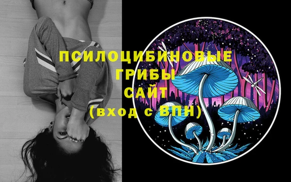 мет Лабытнанги