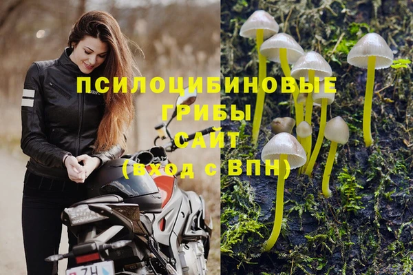 марки lsd Лагань
