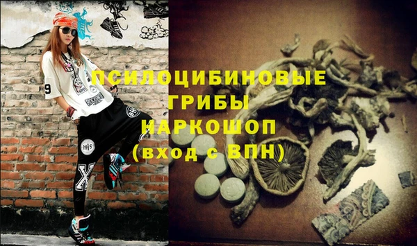стаф Куйбышев