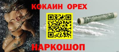 apvp Канаш
