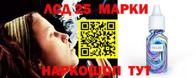 apvp Канаш