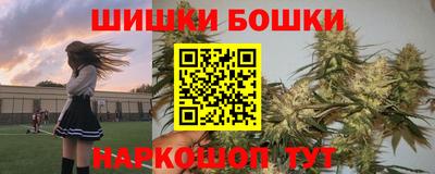 apvp Канаш