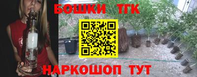 бошки Аргун