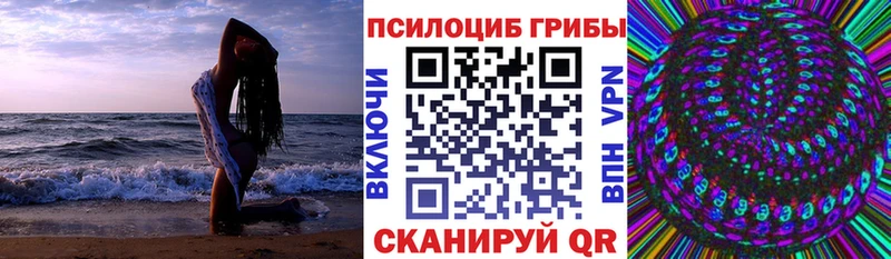 купить  сайты  МЕГА как войти  Псилоцибиновые грибы прущие грибы  Мелеуз 
