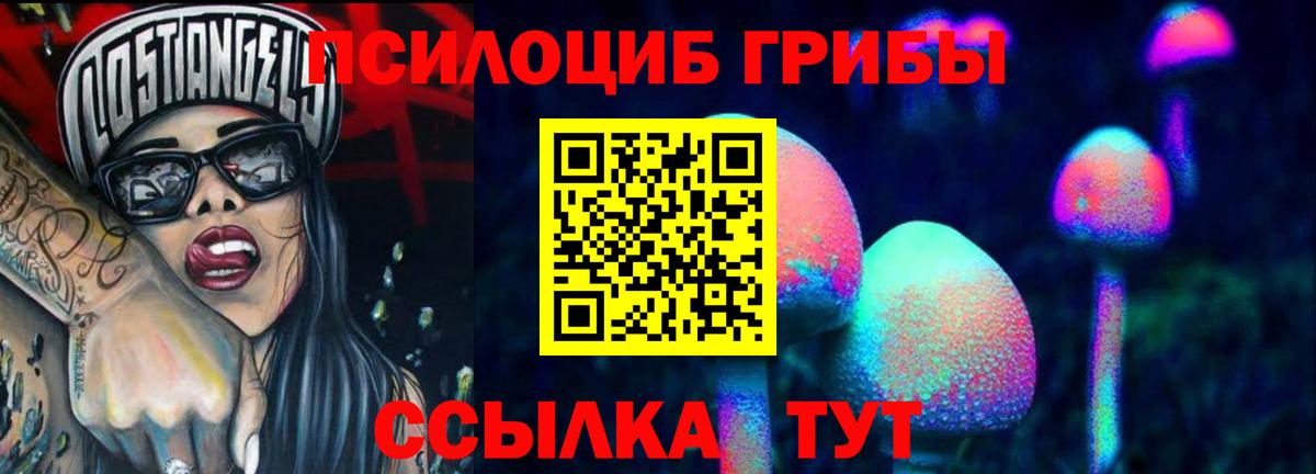 Псилоцибиновые грибы прущие грибы Мелеуз