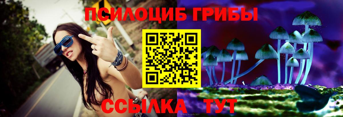 Псилоцибиновые грибы мицелий Мелеуз