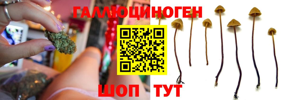 Галлюциногенные грибы мицелий  Мелеуз 